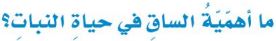 اهمية الساق